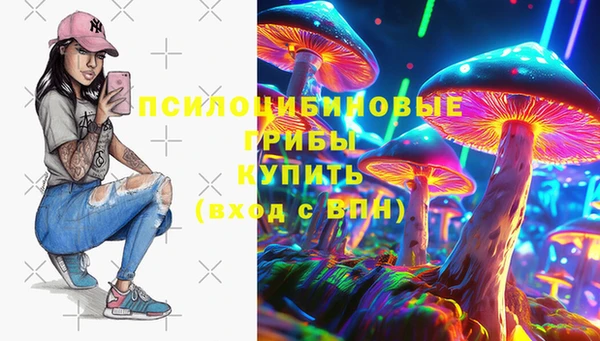 ПСИЛОЦИБИНОВЫЕ ГРИБЫ Михайловск