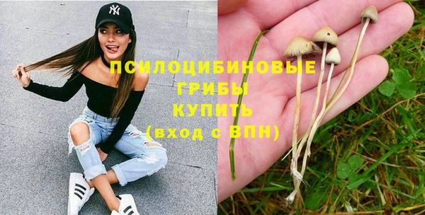 MESCALINE Михайлов