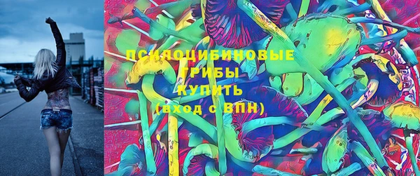 ПСИЛОЦИБИНОВЫЕ ГРИБЫ Михайловск